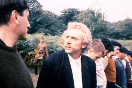 Krowy - galeria zdjęć - filmweb