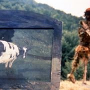 Vacas - galeria zdjęć - filmweb