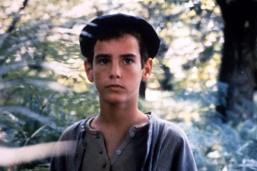 Krowy - galeria zdjęć - filmweb