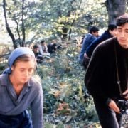 Krowy - galeria zdjęć - filmweb
