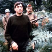 Krowy - galeria zdjęć - filmweb