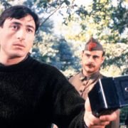 Krowy - galeria zdjęć - filmweb