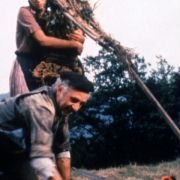 Krowy - galeria zdjęć - filmweb