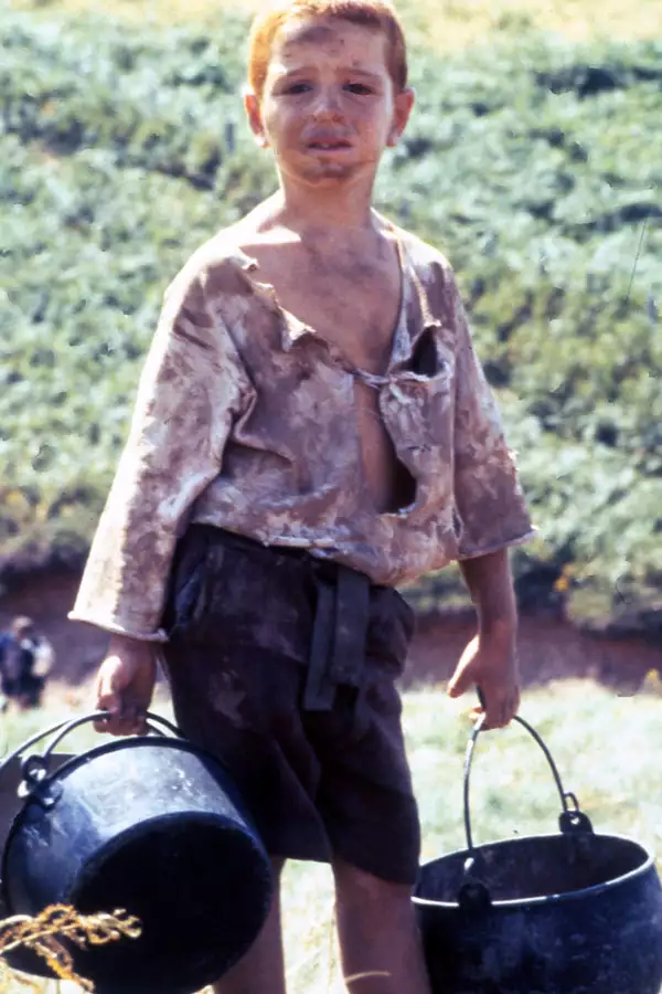 Krowy - galeria zdjęć - filmweb