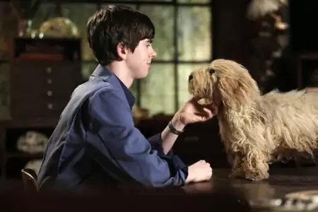 Bates Motel - galeria zdjęć - filmweb