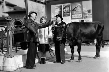 Czarny rynek w Paryżu - galeria zdjęć - filmweb