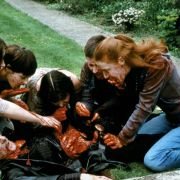 Shaun of the Dead - galeria zdjęć - filmweb