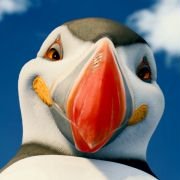 Happy Feet: Tupot małych stóp 2 - galeria zdjęć - filmweb