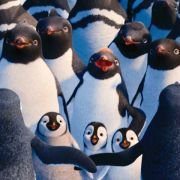 Happy Feet Two - galeria zdjęć - filmweb