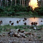 Missing in Action - galeria zdjęć - filmweb