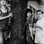 To Kill a Mockingbird - galeria zdjęć - filmweb