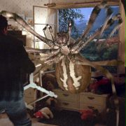 Atak pająków - galeria zdjęć - filmweb