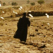 Teza - galeria zdjęć - filmweb
