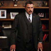 Blue Bloods - galeria zdjęć - filmweb