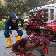 Zombeavers - galeria zdjęć - filmweb