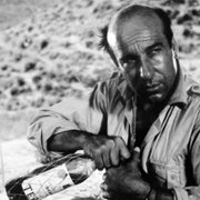 Polowanie - galeria zdjęć - filmweb