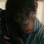 Better Man: Niesamowity Robbie Williams - galeria zdjęć