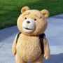 Ted - galeria zdjęć