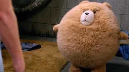 Ted - galeria zdjęć - filmweb