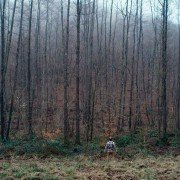 Ennemi public - galeria zdjęć - filmweb