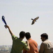 3 Idiots - galeria zdjęć - filmweb