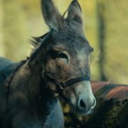 IO - galeria zdjęć - filmweb