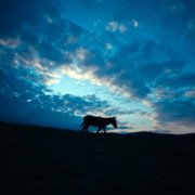 IO - galeria zdjęć - filmweb