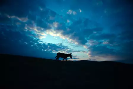 IO - galeria zdjęć - filmweb