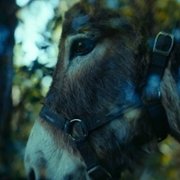 IO - galeria zdjęć - filmweb