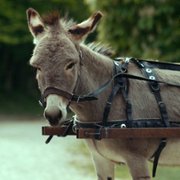 IO - galeria zdjęć - filmweb