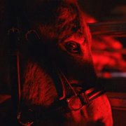 IO - galeria zdjęć - filmweb