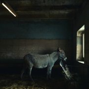 IO - galeria zdjęć - filmweb