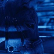 IO - galeria zdjęć - filmweb