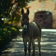 IO - galeria zdjęć - filmweb