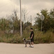 War Pony - galeria zdjęć - filmweb