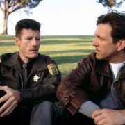 Wojna płci - galeria zdjęć - filmweb