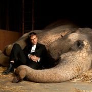 Water for Elephants - galeria zdjęć - filmweb