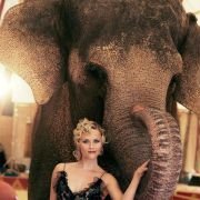Water for Elephants - galeria zdjęć - filmweb
