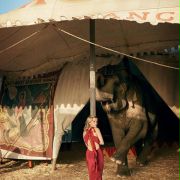 Water for Elephants - galeria zdjęć - filmweb