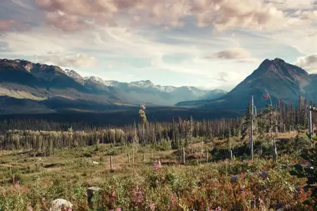 Yintah - galeria zdjęć - filmweb