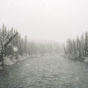 Ty masz mnie za głupią dzikuskę 