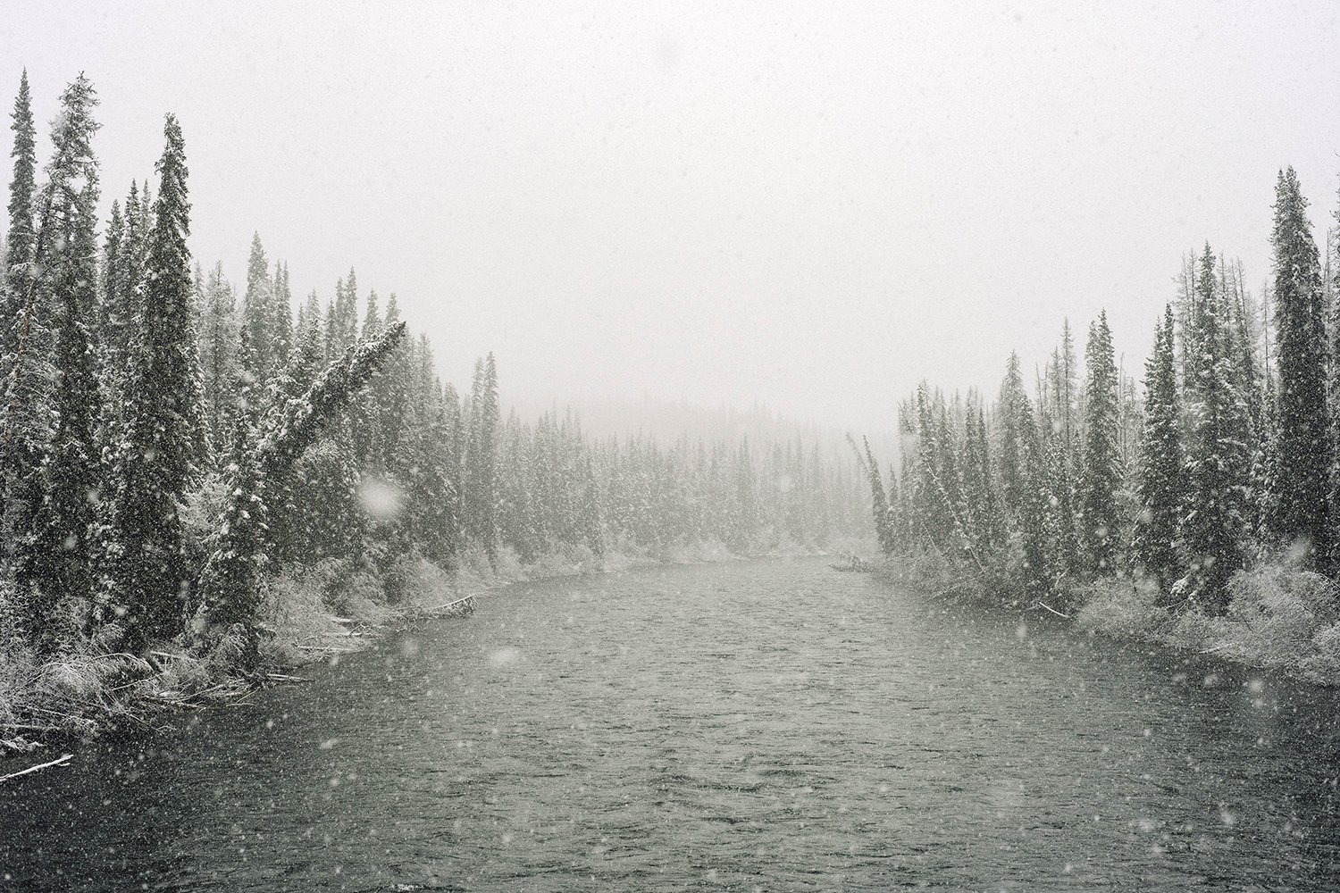 Ty masz mnie za głupią dzikuskę