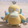 Konsjerżka Pokémonów - galeria zdjęć