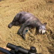 theHunter: Call of the Wild - galeria zdjęć - filmweb