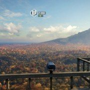 theHunter: Call of the Wild - galeria zdjęć - filmweb