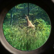 theHunter: Call of the Wild - galeria zdjęć - filmweb