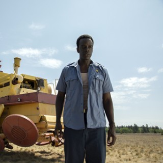 Gaddis