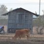 Powr&oacute;t do domu - galeria zdjęć