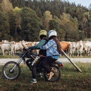 Amatorzy - galeria zdjęć - filmweb