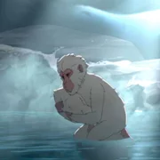 Hit-Monkey - galeria zdjęć - filmweb